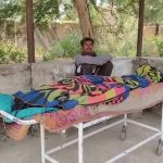 धमतरी में मधुमक्खियों का कहर, हमले में सास की मौत; दामाद की हालत गंभीर