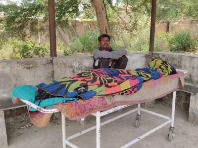 धमतरी में मधुमक्खियों का कहर, हमले में सास की मौत; दामाद की हालत गंभीर
