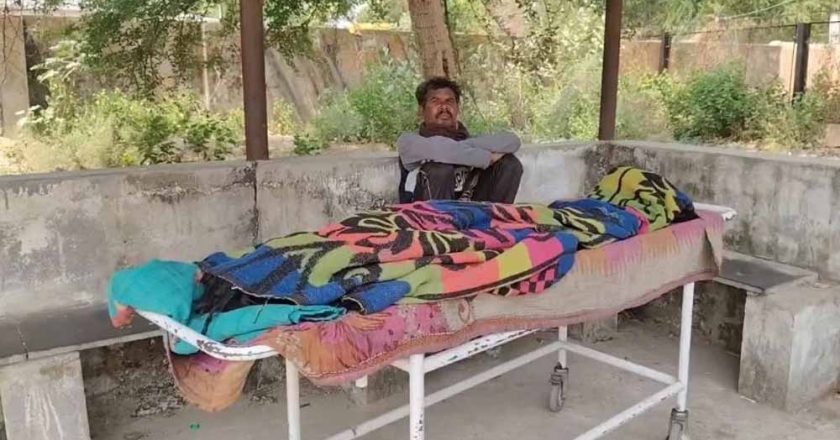 धमतरी में मधुमक्खियों का कहर, हमले में सास की मौत; दामाद की हालत गंभीर