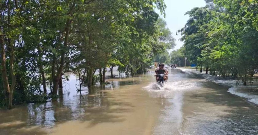 गुरदासपुर में रजबाहा टूटने से बड़ा संकट, सैकड़ों एकड़ फसल जलमग्न, कई गांवों की जलापूर्ति ठप