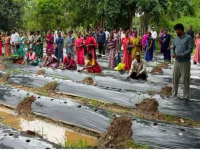 ​रायपुर : ​जलवायु परिवर्तन के दौर में किसानों के लिए वरदान बनेगी ग्राफ्टेड सब्जी: धमतरी में वैज्ञानिक प्रशिक्षण संपन्न