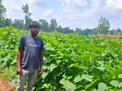 उद्यानिकी विभाग की योजना से बदली कमार कृषक की तकदीर