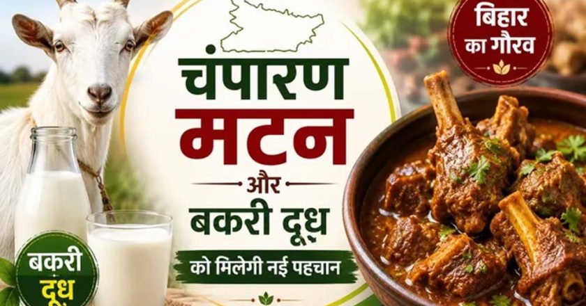 चंपारण मटन और बकरी दूध को मिलेगी नई पहचान, GI टैग की तैयारी