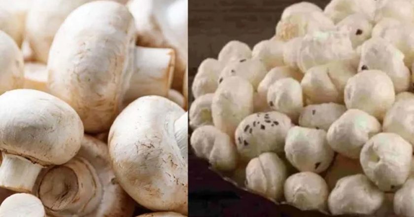 मखाने के बीच बिहार का मशरूम चमका, 10 साल में उत्पादन 0.06 से बढ़कर 42.19 हजार टन